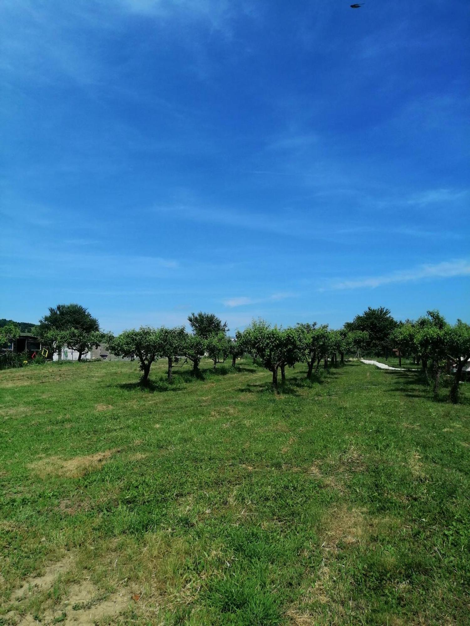 Calla Retreat Vezenkovo 외부 사진